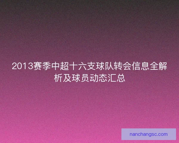 2013赛季中超十六支球队转会信息全解析及球员动态汇总